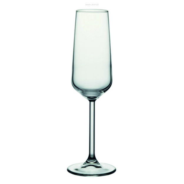 Kieliszek do szampana 195 ml Allegra 400254