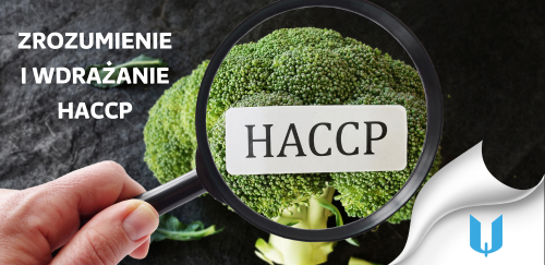 Zrozumienie i wdrażanie HACCP: Przewodnik dla właścicieli restauracji