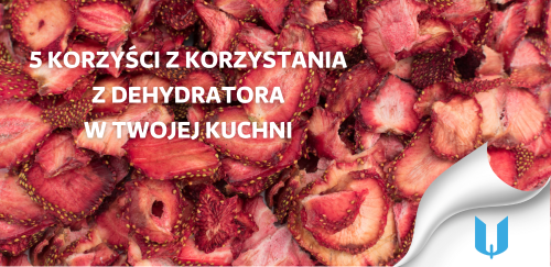 5 korzyści z korzystania z dehydratora w Twojej kuchni
