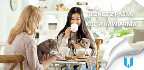Kocia kawiarnia - połączenie pasji do zwierząt z prowadzeniem biznesu