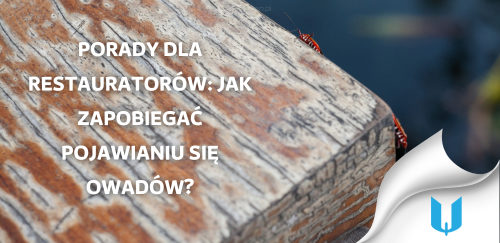 Porady dla restauratorów: Jak zapobiegać pojawianiu się owadów?