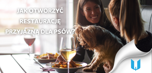 Gastronomia i czworonogi: Jak otworzyć restaurację przyjazną dla psów?